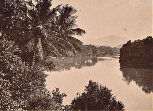 Original c1880 albumen photo - c1880,