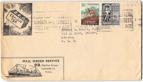 Ceylon salina of - to,